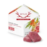 Pomegranate 1:1 CBD + Hybrid Enhanced Gummies | 100mg THC:100mg CBD in Chelsea