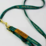 Leash & Collar [L] in Chelsea