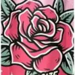 Rose Cones King Size [2pk] in Chelsea