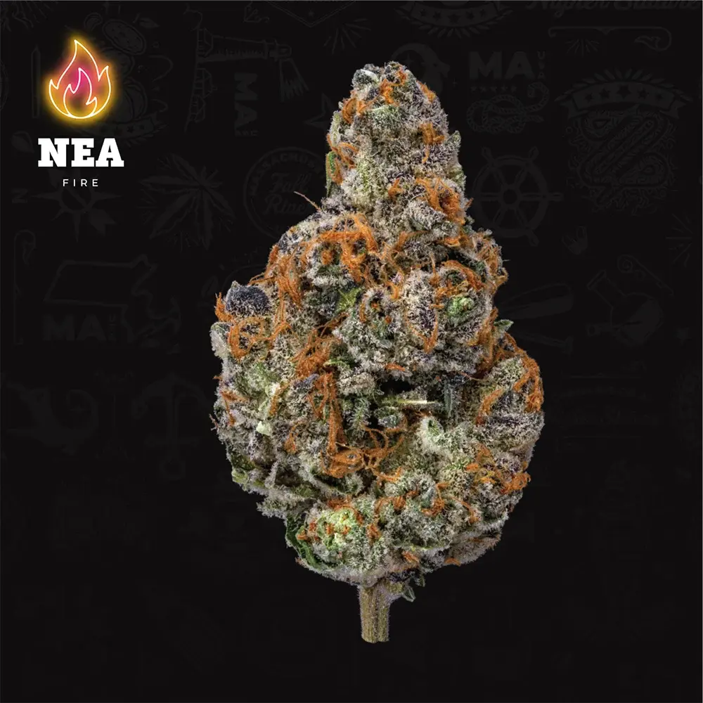 download (71) Grease Monkey - Image 1