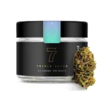 Watermelon Mimosa x Jealousy